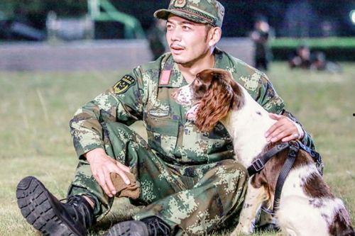 警犬相关资料